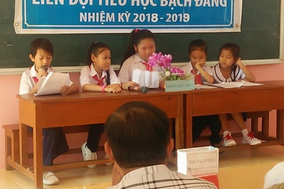 Đại hội liên đội